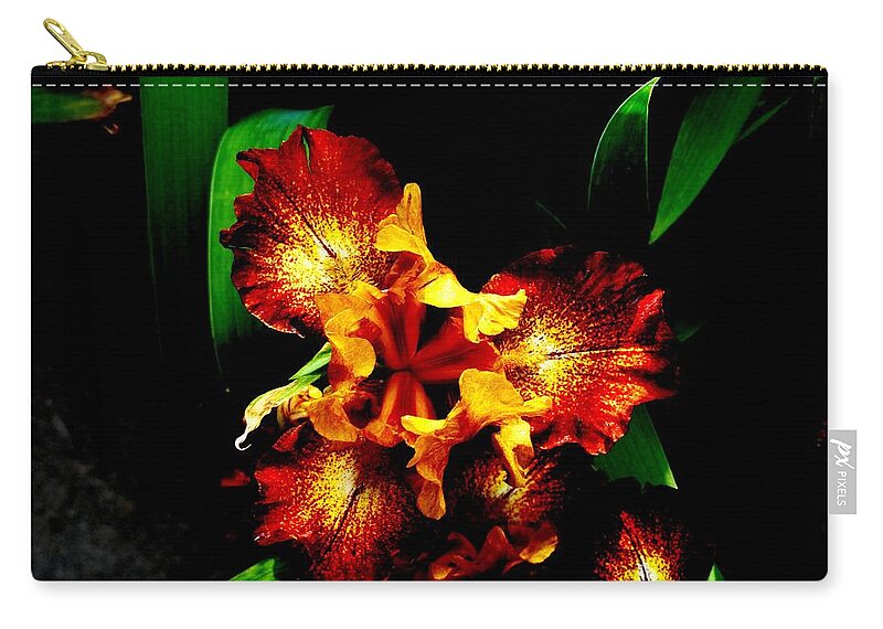 Awesome Iris Zip Pouch featuring the photograph Awesome Iris by Mike Breau