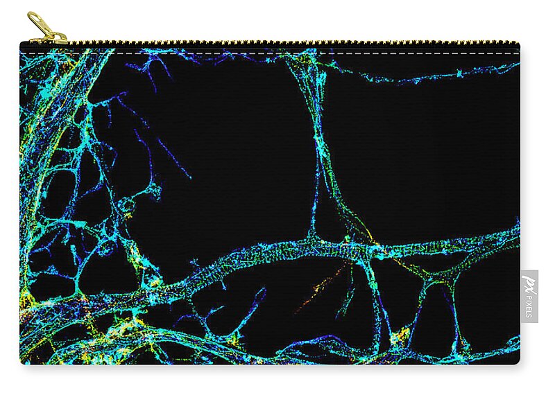 Science Zip Pouch featuring the photograph Axonal Cytoskeleton, Storm Image by Science Source