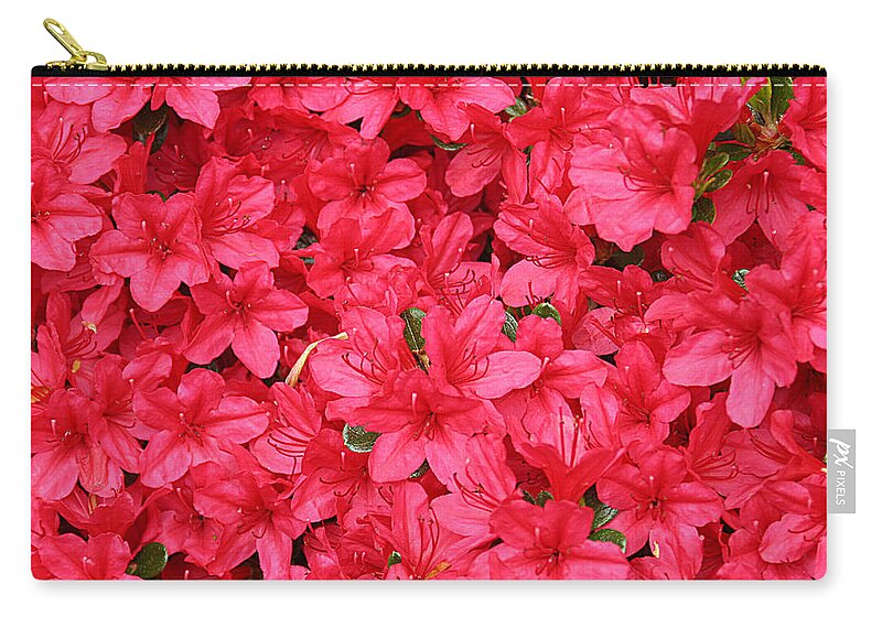 Nature Zip Pouch featuring the photograph Azalea in Bloom by William Selander