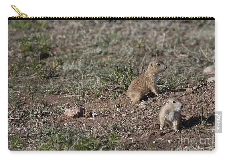 Prairie Dogs Zip Pouch featuring the photograph Babies At Play by Steve Triplett