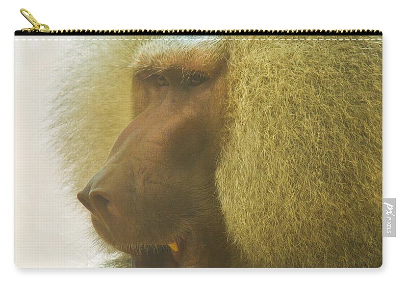 Baboon Zip Pouch featuring the photograph Baboon in the Sun by Jonny D