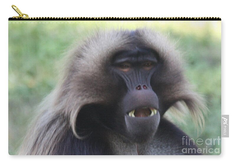 Baboon Zip Pouch featuring the photograph Baboon by John Telfer