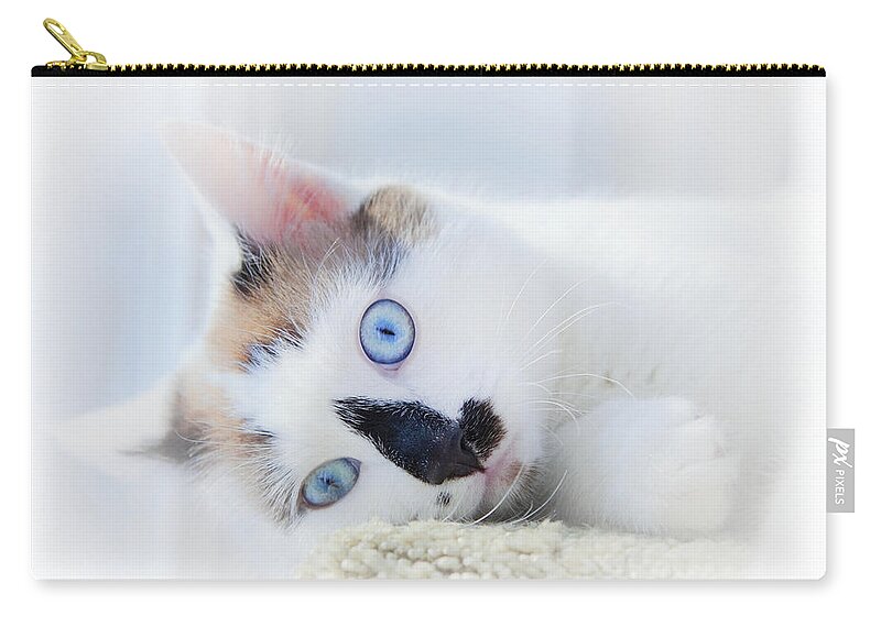 Kitten Zip Pouch featuring the photograph Baby Blue Eyes by Theresa Tahara