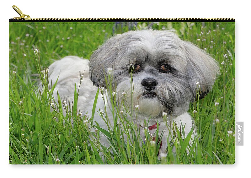 Dog Carry-all Pouch featuring the photograph Baby Breath by Arthur Fix