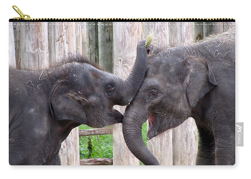 Elephant Zip Pouch featuring the photograph Baby Elephants - Bowie and Belle by Pamela Critchlow