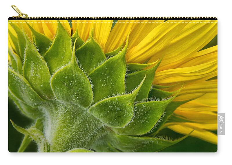 Back Of Sunflower Zip Pouch featuring the photograph Back of Sunflower by Carolyn Derstine