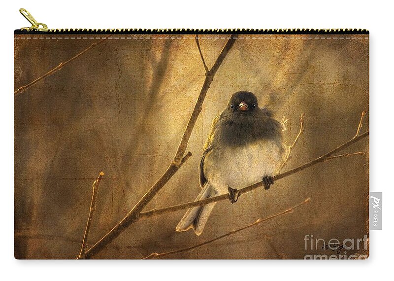 Bird Zip Pouch featuring the photograph Backlit Birdie Being Buffeted by Lois Bryan
