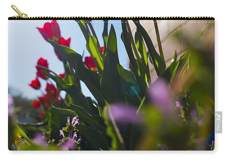Tulips Zip Pouch featuring the photograph Backlit Tulips by Art Whitton