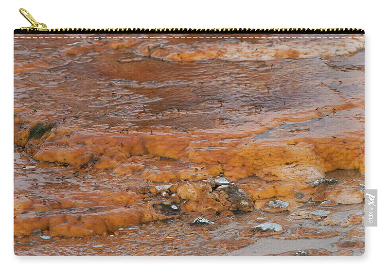 Geology Zip Pouch featuring the photograph Bacteria Mat With Thermophilic Bacteria by Ed Reschke