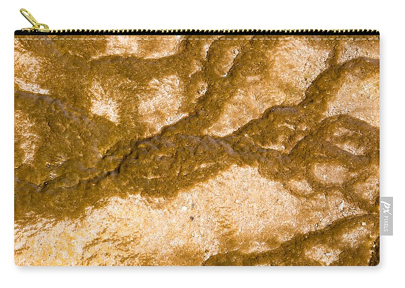 Thermophile Zip Pouch featuring the photograph Bacterial Art 2 by Nicholas Blackwell