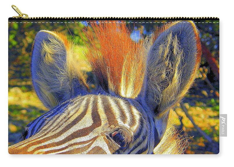 Mammals Zip Pouch featuring the photograph Bad Fur Day Sold by Antonia Citrino