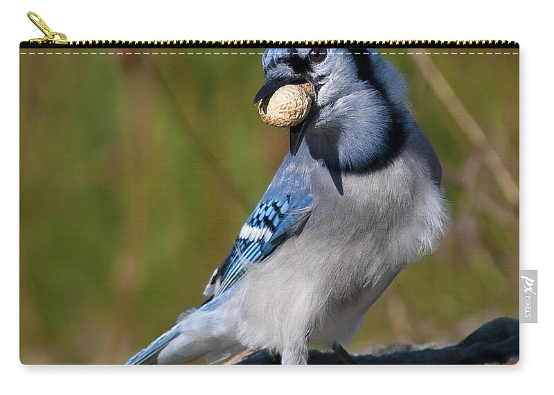 Festblues Zip Pouch featuring the photograph Bad hair day.. by Nina Stavlund