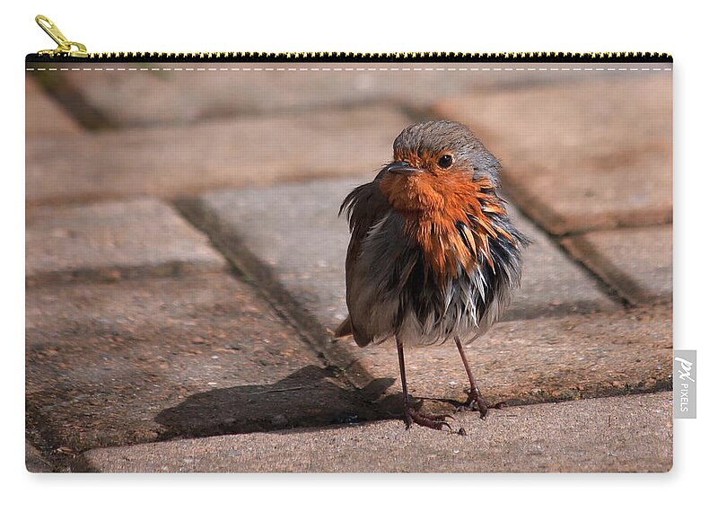 Bird Zip Pouch featuring the photograph Bad Hair Day by Shirley Mitchell