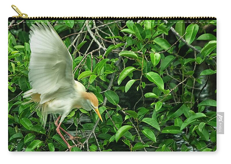 Snowy Egret Zip Pouch featuring the photograph Balancing act by Dennis Baswell