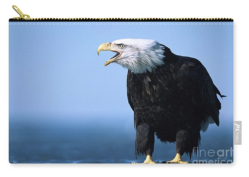 00343912 Zip Pouch featuring the photograph Bald Eagle Calling by Yva Momatiuk John Eastcott