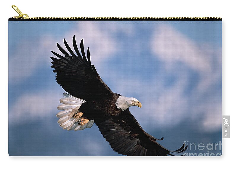 00343849 Zip Pouch featuring the photograph Bald Eagle Flying, Kachemak Bay by Yva Momatiuk John Eastcott