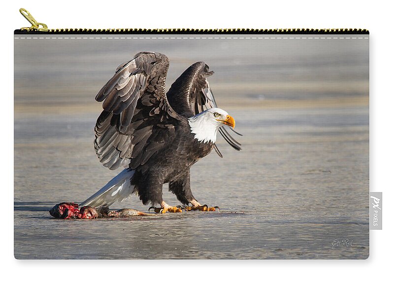 Bald Zip Pouch featuring the photograph Bald eagle protecting his food by Eti Reid