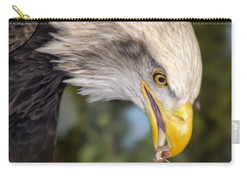 Eagle Zip Pouch featuring the photograph Bald Eagle Snacks by Bill and Linda Tiepelman