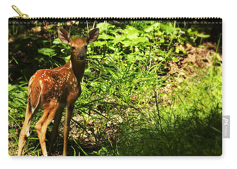 Deer Zip Pouch featuring the photograph Bambi by Melissa Petrey