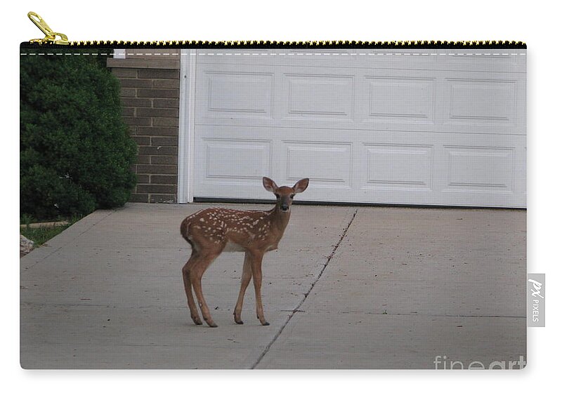 Deer Zip Pouch featuring the photograph Bambi by Michael Krek