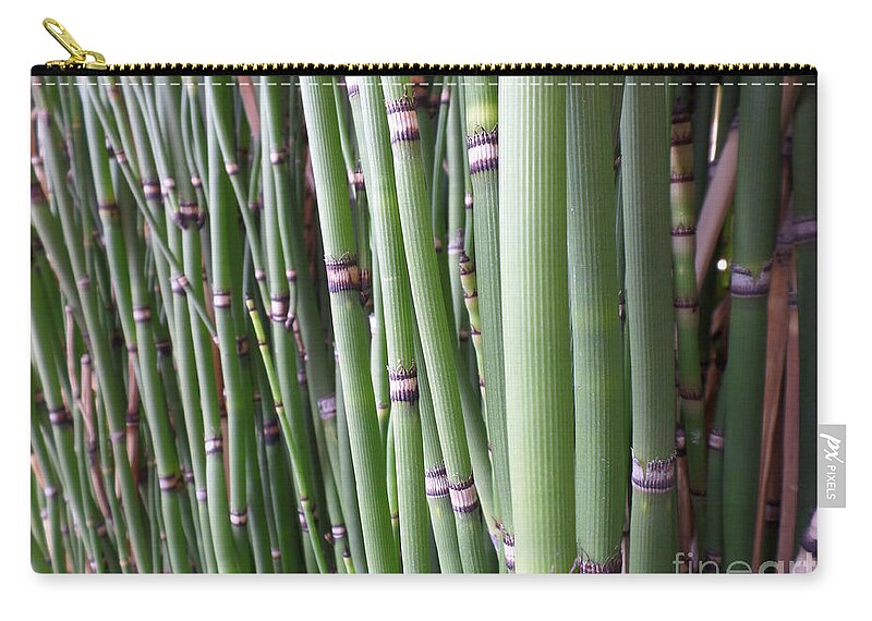 Bamboo Zip Pouch featuring the photograph Bamboo by HEVi FineArt
