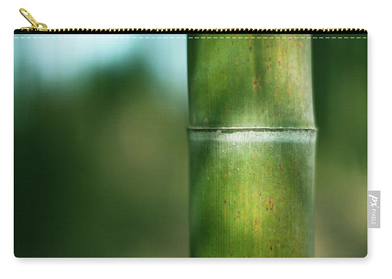 Bamboo Zip Pouch featuring the photograph Bamboo by Shizhan85@gmail.com