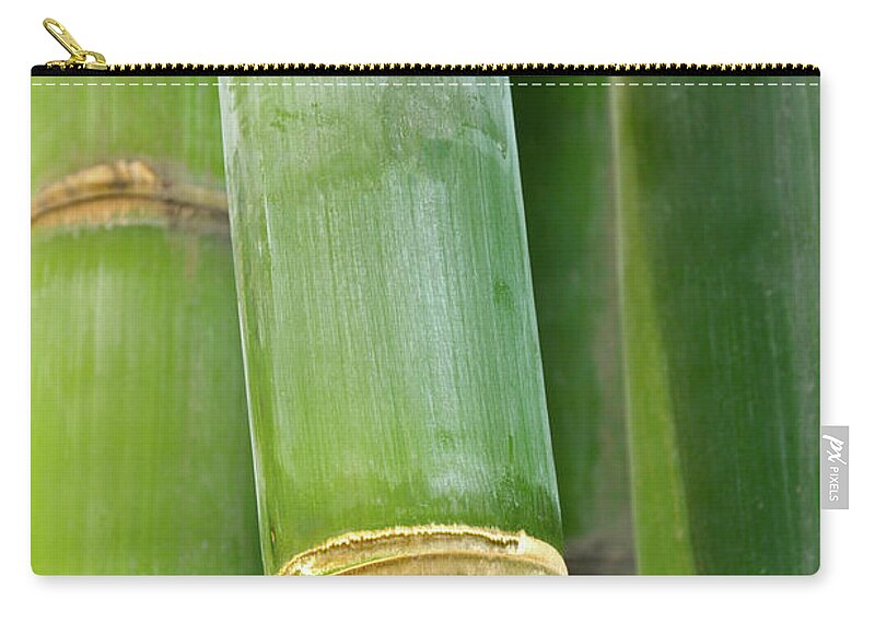 Bamboo Zip Pouch featuring the photograph Bamboo Shoot by Caoyu36