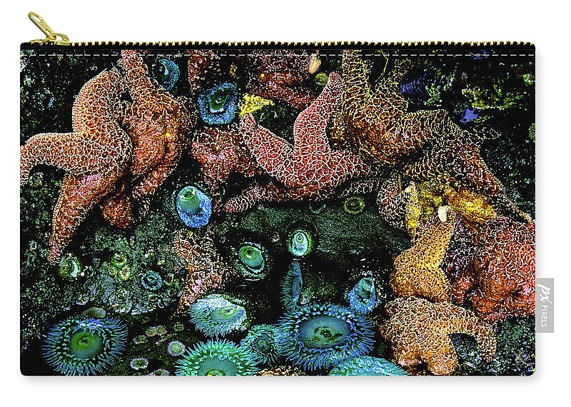 Pacific Ocean Zip Pouch featuring the photograph Bandon Beach Oregon Pacific Tidal Pool by Ed Riche