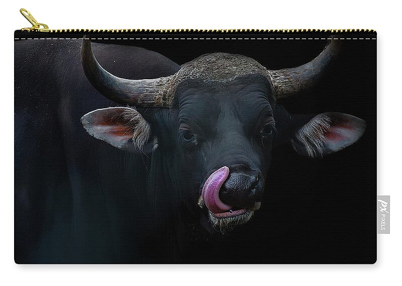 Animal Themes Zip Pouch featuring the photograph Banteng Bull by Photo By Steve Wilson