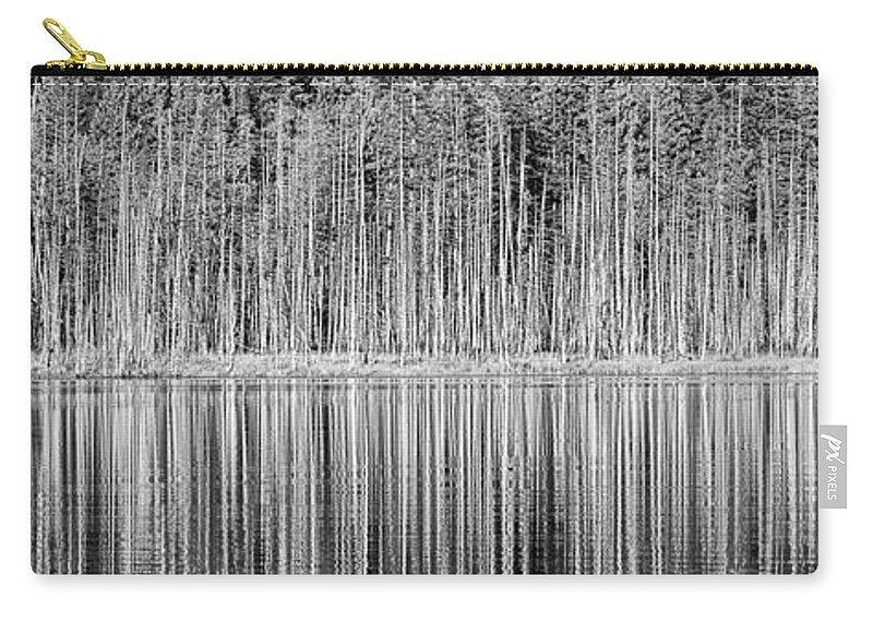 Trees Zip Pouch featuring the photograph Barcode by Paul W Sharpe Aka Wizard of Wonders