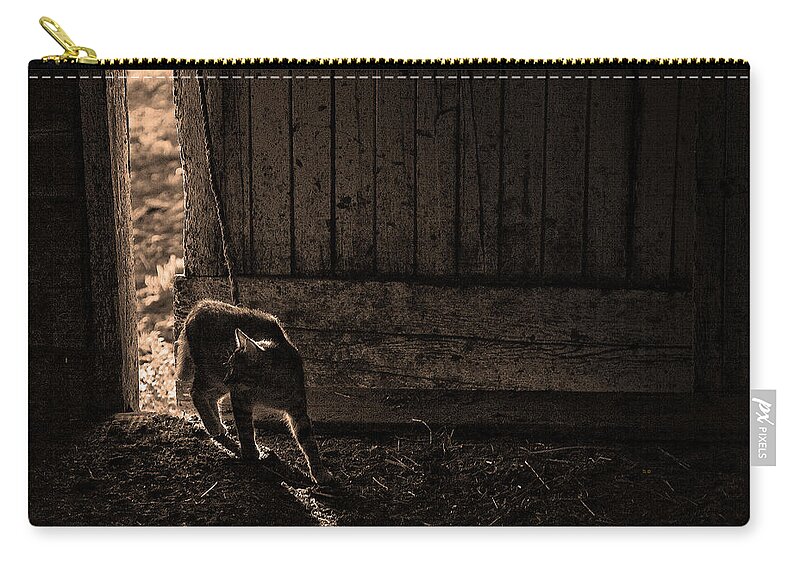 Cats Zip Pouch featuring the photograph Barn Cat by Theresa Tahara