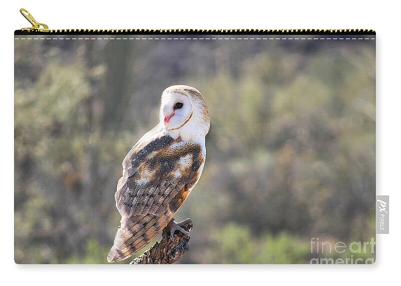 Owl Carry-all Pouch featuring the photograph Barn Owl 1 by Al Andersen