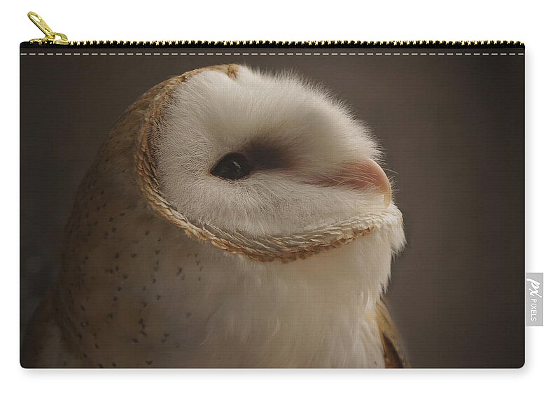 Barn Owl 4 Zip Pouch featuring the photograph Barn Owl 4 by Ernest Echols