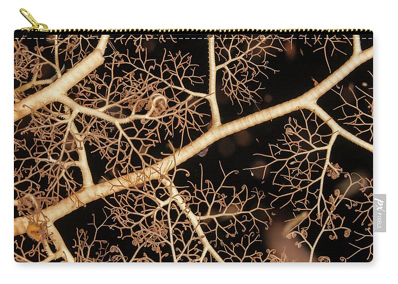 Underwater Zip Pouch featuring the photograph Basket Star by Michele Westmorland