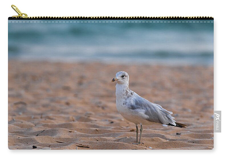 Michigan Zip Pouch featuring the photograph Beach Patrol by Sebastian Musial