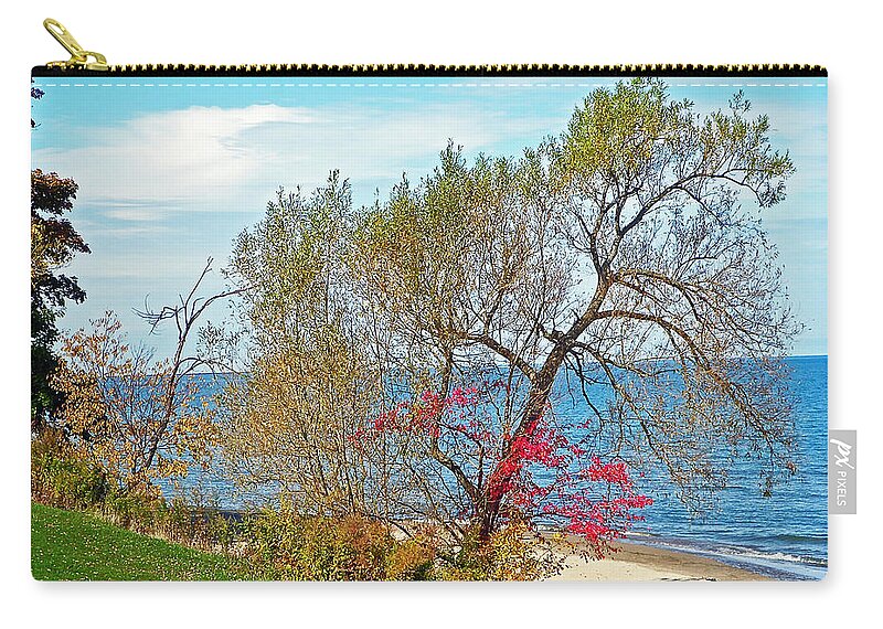 Beach Zip Pouch featuring the photograph Beach Tree by Aimee L Maher ALM GALLERY