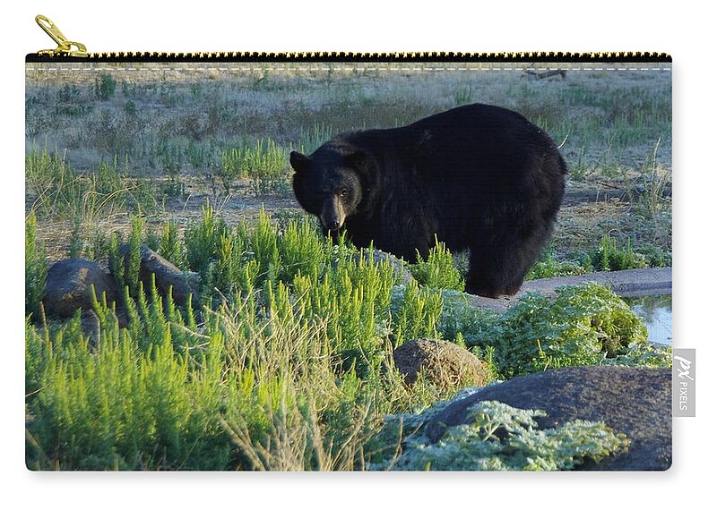 Lions Tigers And Bears Zip Pouch featuring the photograph Bear 3 by Phyllis Spoor