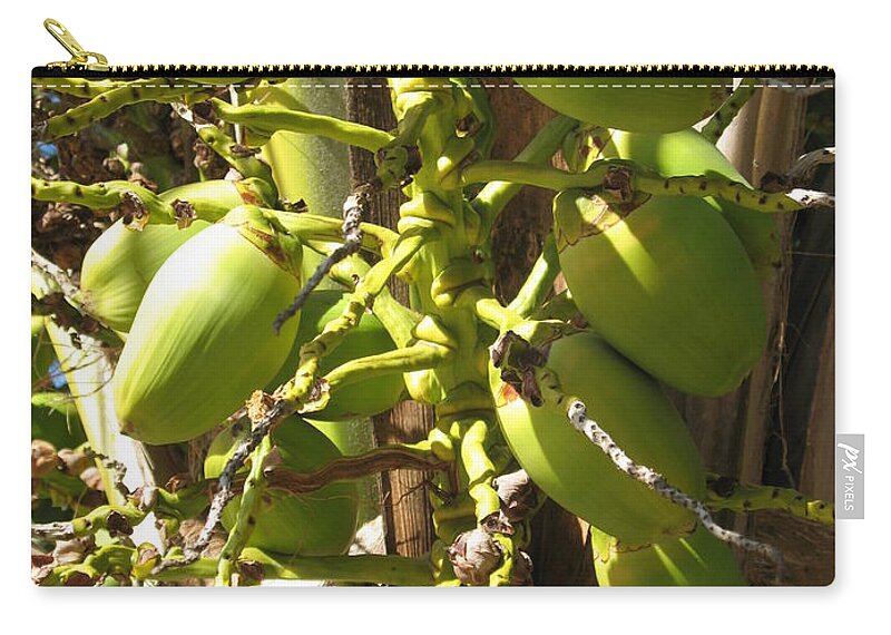 Palmtree Zip Pouch featuring the photograph Bear Fruit by Christiane Schulze Art And Photography