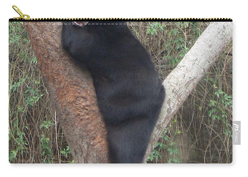 Bear Zip Pouch featuring the photograph Bear In Tree  by Bertie Edwards