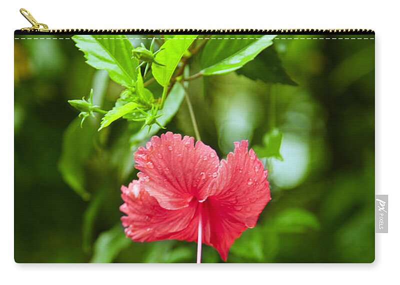 Exotic Zip Pouch featuring the photograph Beautiful Blossom by Gina Koch