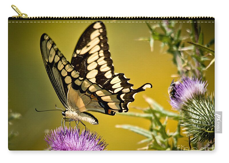 Giant Swallowtail Zip Pouch featuring the photograph Beautiful Golden Swallowtail by Cheryl Baxter