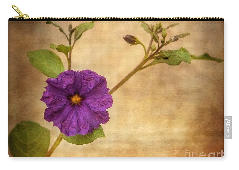 Potato Vine Zip Pouch featuring the photograph Beautiful Nightshade by Peggy Hughes