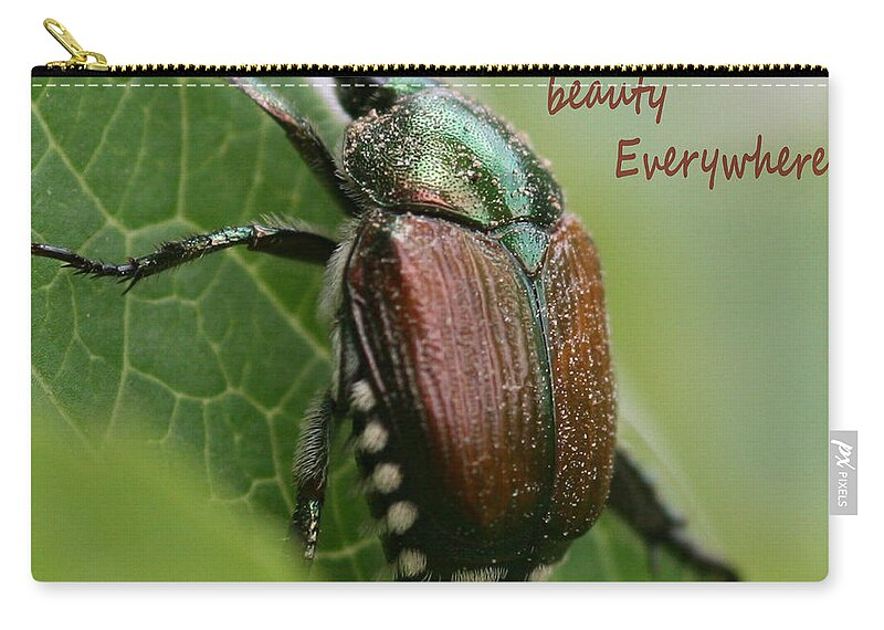 Scripture Nature Beetle Zip Pouch featuring the photograph Beauty Everywhere by Sandra Clark