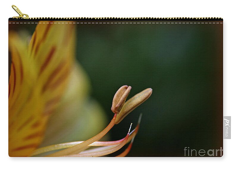 Design Zip Pouch featuring the photograph Beauty in Her Soul by Sandra Clark