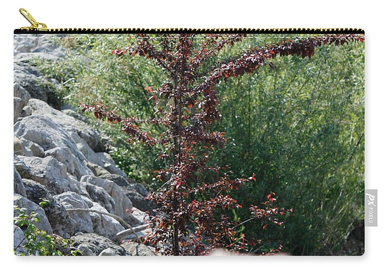 Albero Zip Pouch featuring the photograph Beauty is Everywhere by Donato Iannuzzi