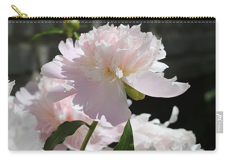 Peony Zip Pouch featuring the painting Beauty by Ruth Kamenev
