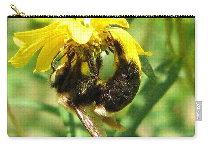 Busy Bee Zip Pouch featuring the photograph Bee All In by Cleaster Cotton