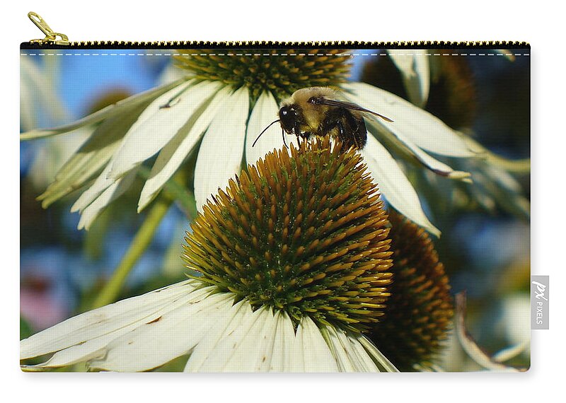 Floral Zip Pouch featuring the photograph Bee on a cone flower by Lingfai Leung