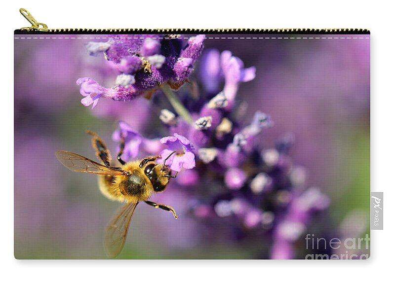 Bee Zip Pouch featuring the photograph Bee on the Lavender Branch by Amanda Mohler