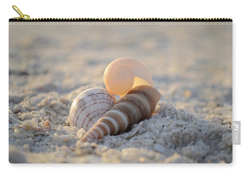 Seashells Zip Pouch featuring the photograph Beginning Again by Melanie Moraga